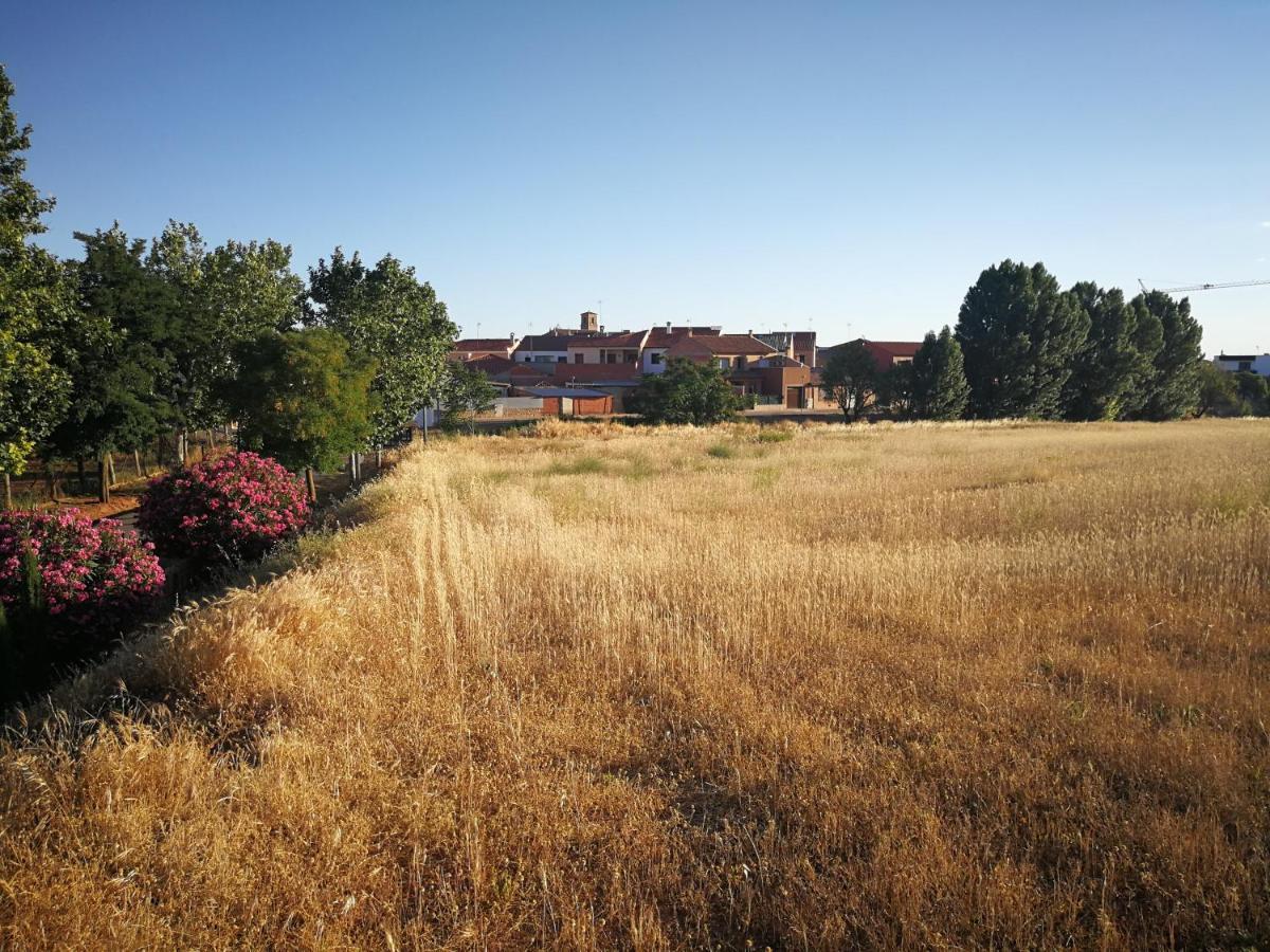 מלון ויינואבה דה לוס אינפנטס La Casona Del Abuelo Parra מראה חיצוני תמונה